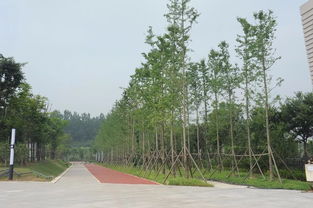 2017年度湖北省園林綠化優(yōu)質(zhì)工程展示 五