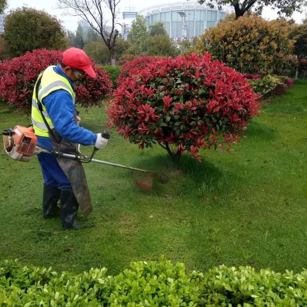 綠化養(yǎng)護(hù)-園林綠化-景觀(guān)設(shè)計(jì)-廣東怡軒園林環(huán)境工程