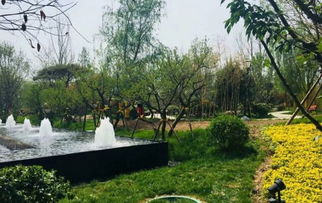 隆基泰和萬(wàn)和郡動(dòng)態(tài) 工地施工快馬加鞭園林綠化貼心服務(wù) 深圳安居客