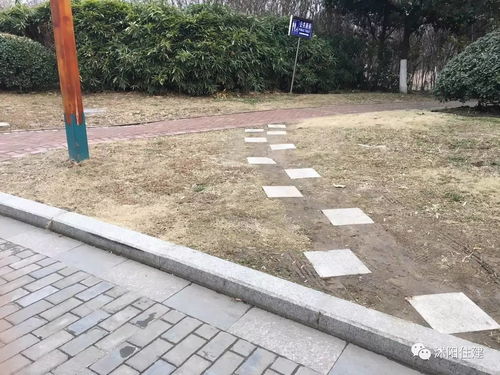 取消園林綠化施工資質(zhì),如何加強(qiáng)園林企業(yè)資質(zhì)管理