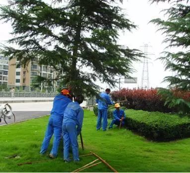 稅改后時(shí)代,園林綠化工程利潤達(dá)到多少才不虧本!