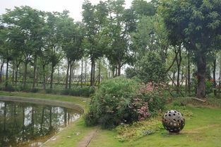 匠心筑綠場(chǎng)，活力映荊楚——2017年度湖北省體育場(chǎng)地設(shè)施優(yōu)質(zhì)工程巡禮